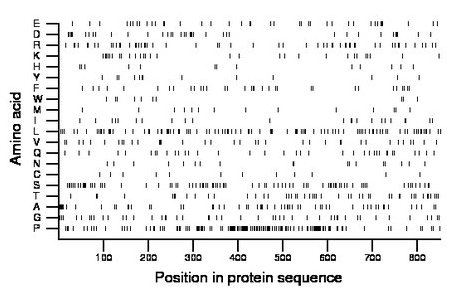 amino acid map