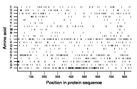 amino acid map