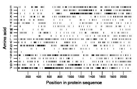 amino acid map