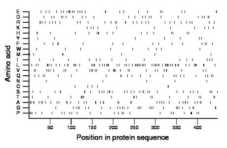 amino acid map