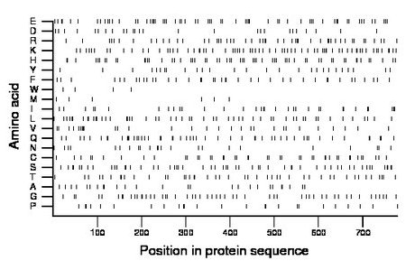 amino acid map