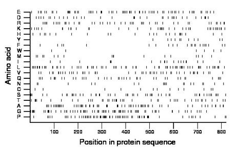 amino acid map