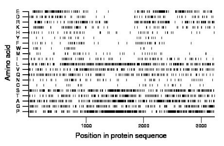 amino acid map