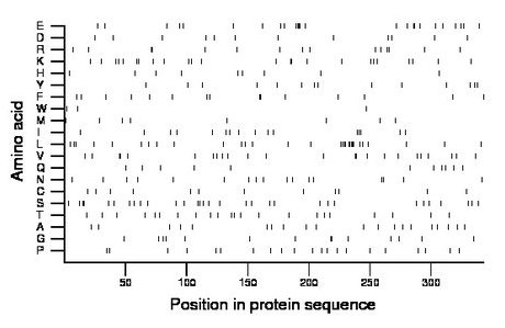 amino acid map