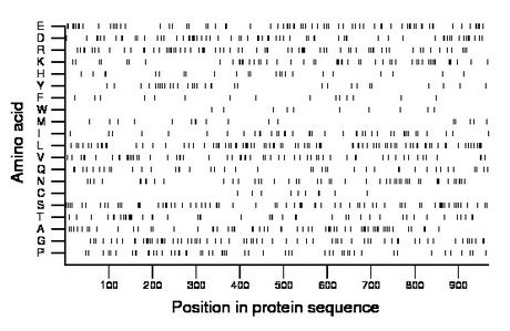 amino acid map