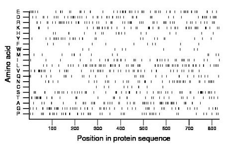 amino acid map