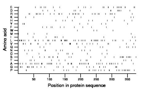 amino acid map