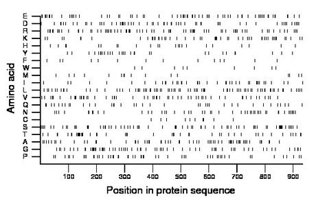 amino acid map