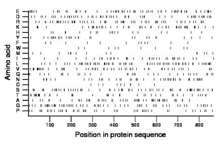 amino acid map