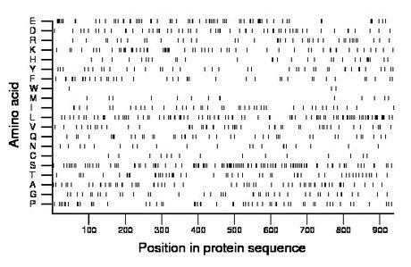 amino acid map