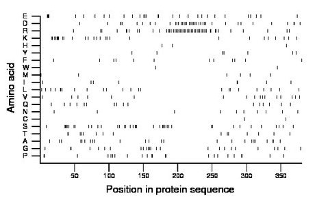 amino acid map