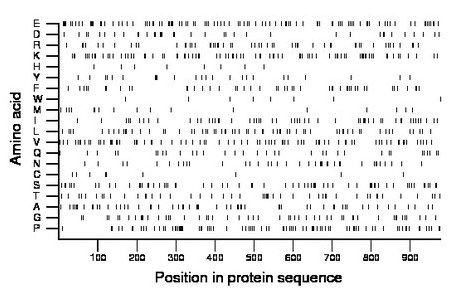 amino acid map