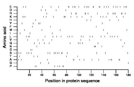 amino acid map