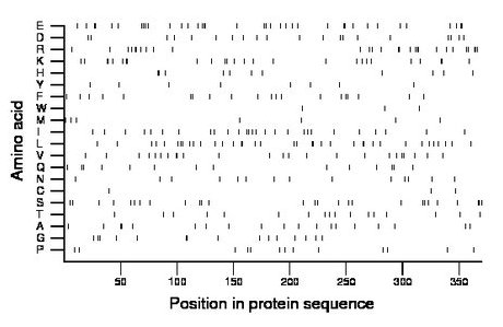 amino acid map