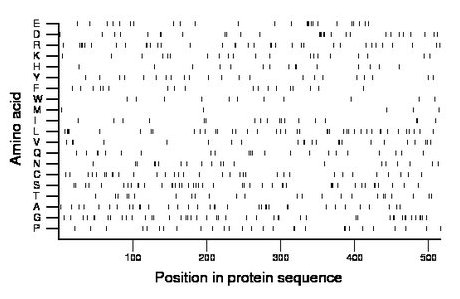 amino acid map