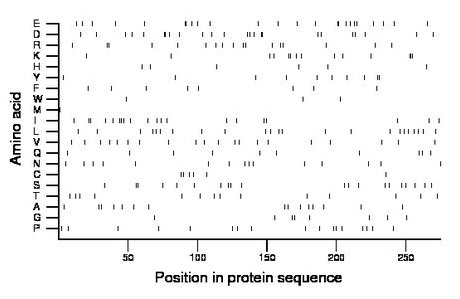 amino acid map