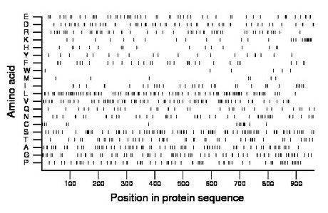 amino acid map