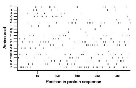 amino acid map