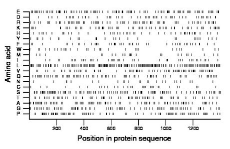 amino acid map