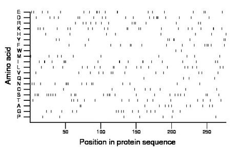 amino acid map