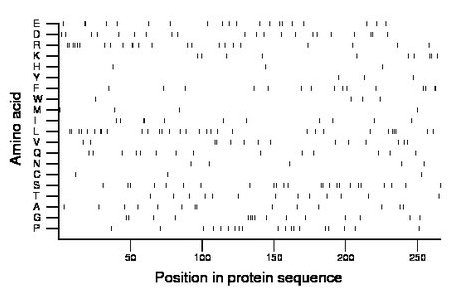 amino acid map