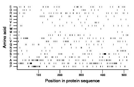 amino acid map