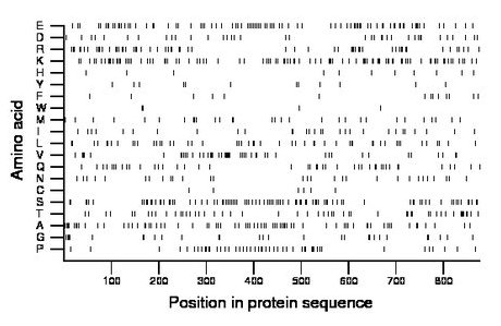 amino acid map