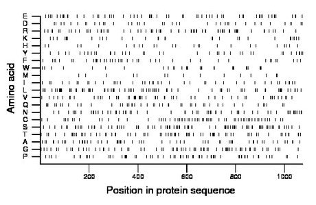 amino acid map