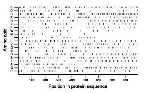 amino acid map