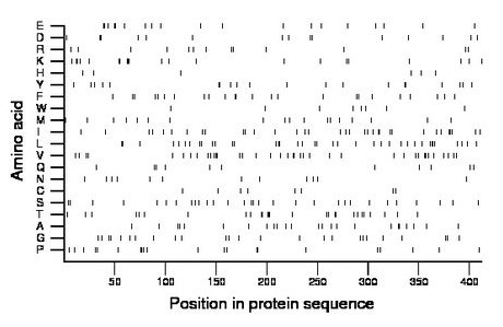 amino acid map