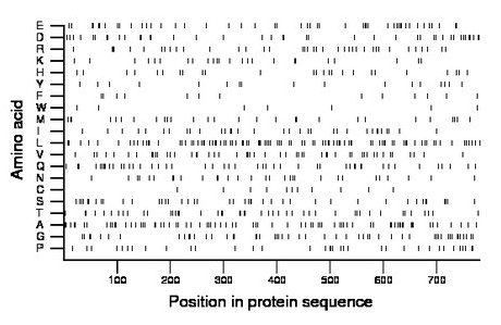 amino acid map