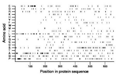 amino acid map