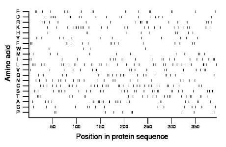 amino acid map