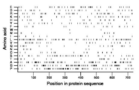 amino acid map