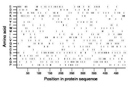 amino acid map