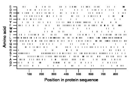 amino acid map