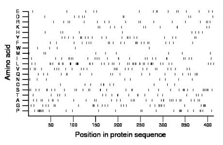 amino acid map