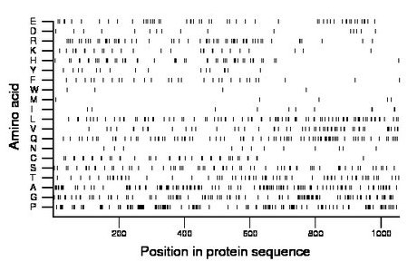 amino acid map