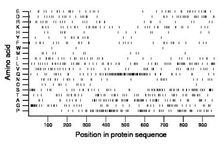 amino acid map