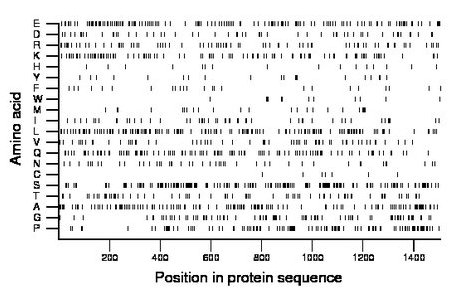 amino acid map