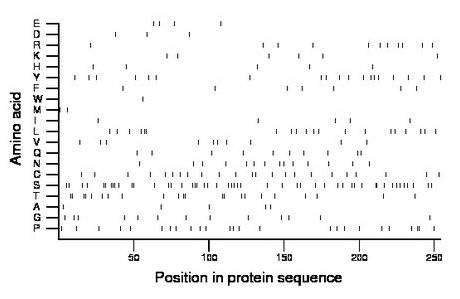 amino acid map