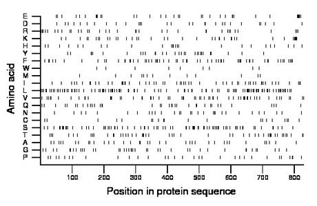 amino acid map