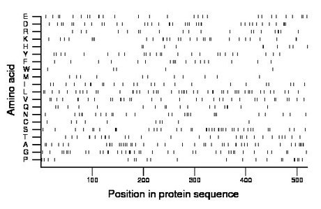 amino acid map