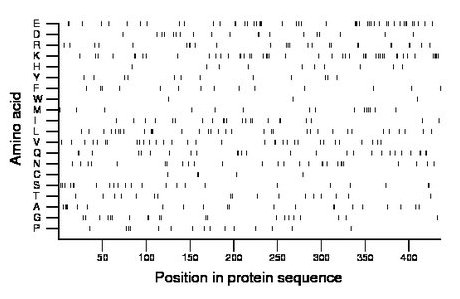 amino acid map