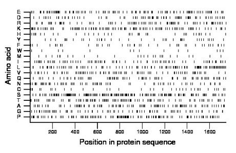 amino acid map