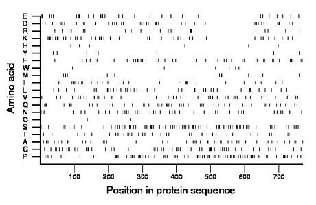 amino acid map