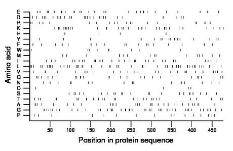 amino acid map