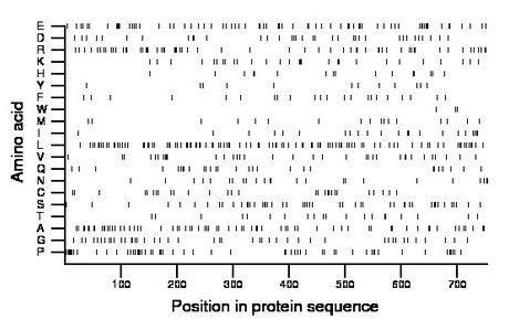 amino acid map