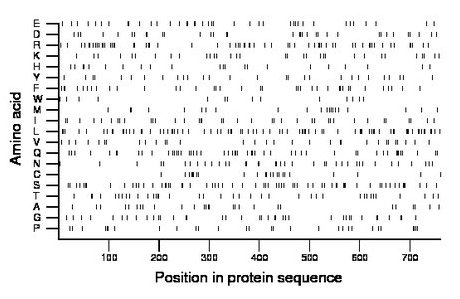 amino acid map