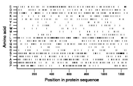 amino acid map